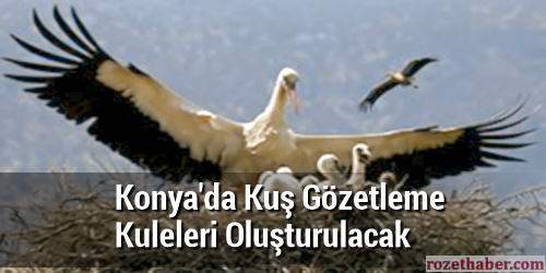 Konya'da Kuş Gözetleme Kuleleri Oluşturulacak