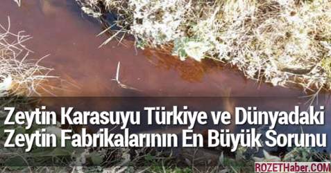 Zeytin Karasuyu Türkiye ve Dünyadaki Zeytin Fabrikalarının En Büyük Sorunu