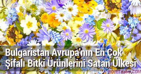 Bulgaristan Avrupa'nın En Çok Şifalı Bitki Ürünlerini Satan Ülkesi