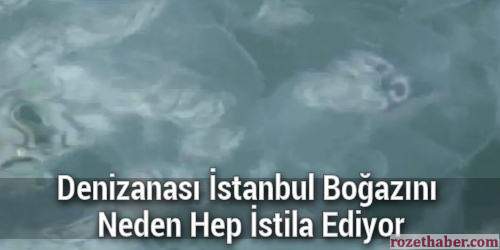 Denizanası İstanbul Boğazını Neden Hep İstila Ediyor