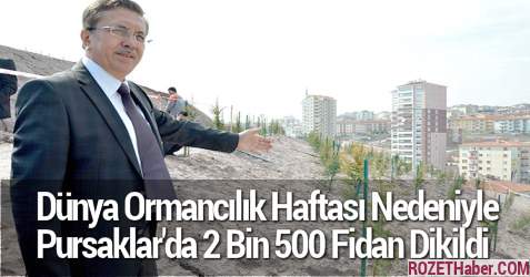 Dünya Ormancılık Haftası Nedeniyle Ankara Pursaklar'da 2 Bin 500 Fidan Dikildi