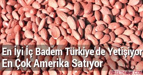 En İyi İç Badem Türkiye'de Yetişiyor En Çok Amerika Satıyor