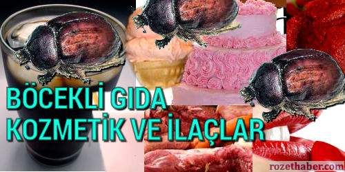 Türkiye'de Böcek Kullanılarak Üretilen Gıdalar ve Ürünler