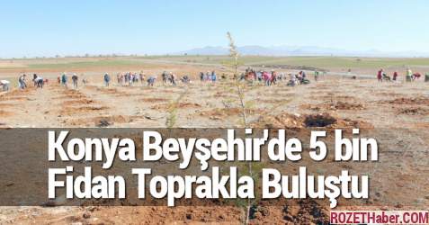 Konya Beyşehir'de 5 bin Fidan Toprakla Buluştu
