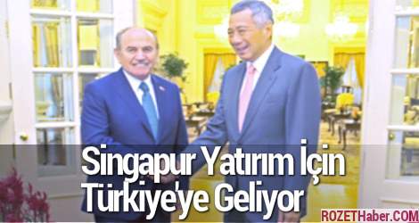 Singapur Yatırım İçin Türkiye'ye Geliyor
