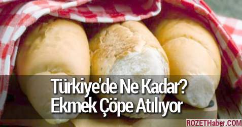 Türkiye'de Ne Kadar Ekmek Çöpe Atılıyor