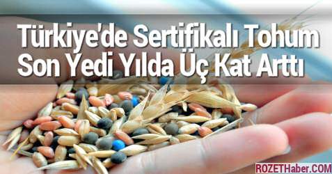 Türkiye'de Sertifikalı Tohum Üretimi Son Yedi Yılda Üç Kat Arttı
