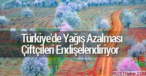 Türkiye'de Yağış Azalması Çiftçileri Endişelendiriyor