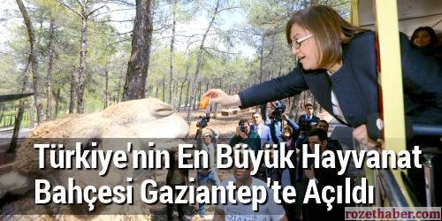 Türkiye'nin En Büyük Hayvanat Bahçesi Gaziantep'te Açıldı