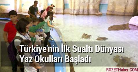 Türkiye'nin İlk Sualtı Dünyası Yaz Okulları Başladı