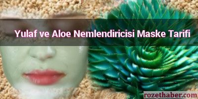 Yulaf ve Aloe nemlendiricisi maske tarifi