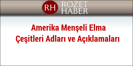 Amerika Menşeli Elma Çeşitleri Adları ve Açıklamaları Amerika Menşeli Elma Çeşitleri Adları ve Açıklamaları