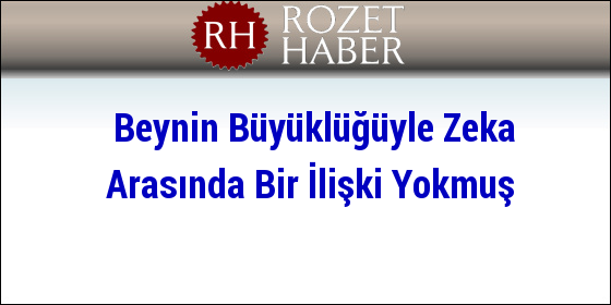 Beynin Büyüklüğüyle Zeka Arasında Bir İlişki Yokmuş Beynin Büyüklüğüyle Zeka Arasında Bir İlişki Yokmuş