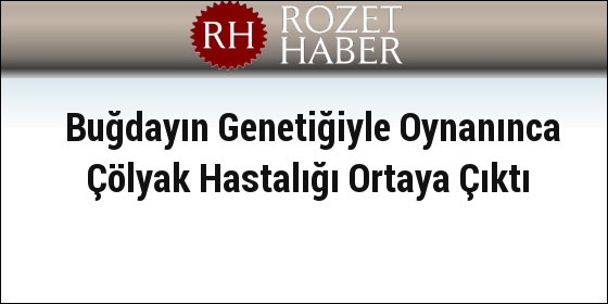 Buğdayın Genetiğiyle Oynanınca Çölyak Hastalığı Ortaya Çıktı Buğdayın Genetiğiyle Oynanınca Çölyak Hastalığı Ortaya Çıktı