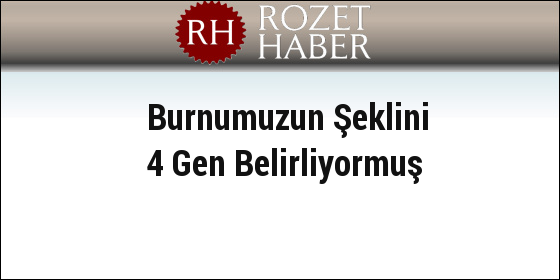 Burnumuzun Şeklini 4 Gen Belirliyormuş Burnumuzun Şeklini 4 Gen Belirliyormuş