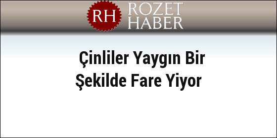 Çinliler Yaygın Bir Şekilde Fare Yiyor Çinliler Yaygın Bir Şekilde Fare Yiyor
