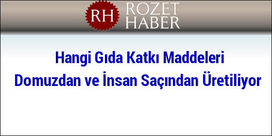 Hangi Gıda Katkı Maddeleri Domuzdan ve İnsan Saçından Üretiliyor Hangi Gıda Katkı Maddeleri Domuzdan ve İnsan Saçından Üretiliyor