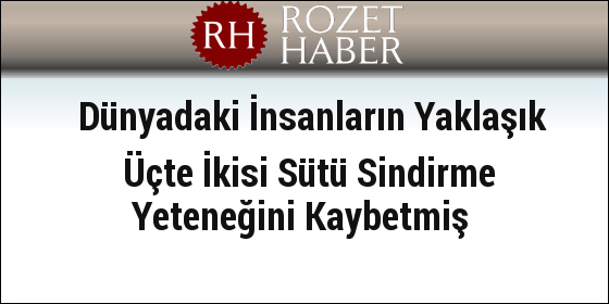 Dünyadaki İnsanların Yaklaşık Üçte İkisi Sütü Sindirme Yeteneğini Kaybetmiş Dünyadaki İnsanların Yaklaşık Üçte İkisi Sütü Sindirme Yeteneğini Kaybetmiş