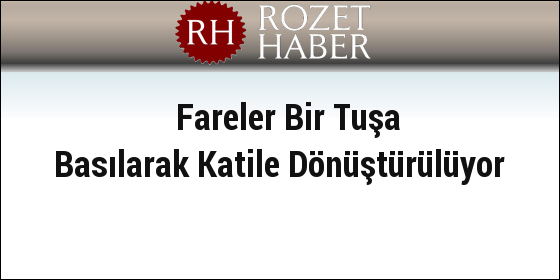 Fareler Bir Tuşa Basılarak Katile Dönüştürülüyor Fareler Bir Tuşa Basılarak Katile Dönüştürülüyor