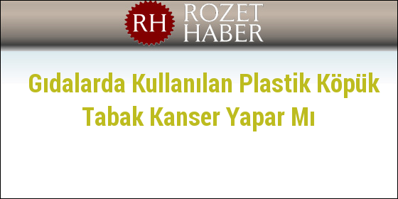 Gıdalarda Kullanılan Plastik Köpük Tabak Kanser Yapar Mı Gıdalarda Kullanılan Plastik Köpük Tabak Kanser Yapar Mı