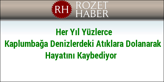 Her Yıl Yüzlerce Kaplumbağa Denizlerdeki Atıklara Dolanarak Hayatını Kaybediyor Her Yıl Yüzlerce Kaplumbağa Denizlerdeki Atıklara Dolanarak Hayatını Kaybediyor