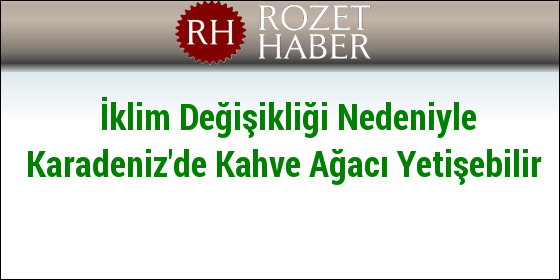 İklim Değişikliği Nedeniyle Karadeniz'de Kahve Ağacı Yetişebilir İklim Değişikliği Nedeniyle Karadeniz'de Kahve Ağacı Yetişebilir