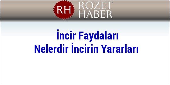 İncir Faydaları Nelerdir İncirin Yararları İncir Faydaları Nelerdir İncirin Yararları