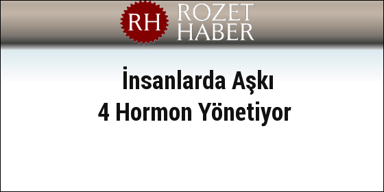 İnsanlarda Aşkı 4 Hormon Yönetiyor İnsanlarda Aşkı 4 Hormon Yönetiyor