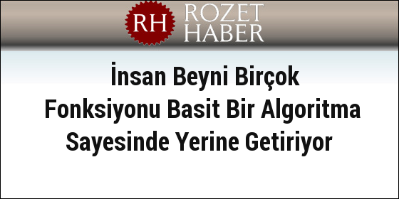 İnsan Beyni Birçok Fonksiyonu Basit Bir Algoritma Sayesinde Yerine Getiriyor İnsan Beyni Birçok Fonksiyonu Basit Bir Algoritma Sayesinde Yerine Getiriyor