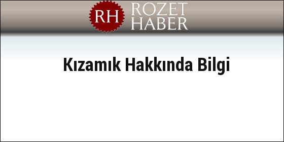 Kızamık Hakkında Bilgi Kızamık Hakkında Bilgi