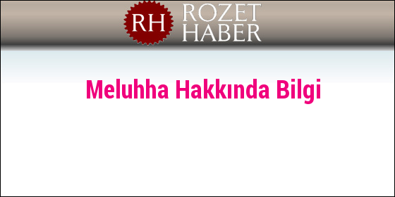 Meluhha Hakkında Bilgi Meluhha Hakkında Bilgi