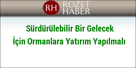 Sürdürülebilir Bir Gelecek İçin Ormanlara Yatırım Yapılmalı Sürdürülebilir Bir Gelecek İçin Ormanlara Yatırım Yapılmalı