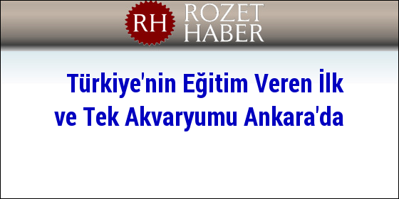 Türkiye'nin Eğitim Veren İlk ve Tek Akvaryumu Ankara'da Türkiye'nin Eğitim Veren İlk ve Tek Akvaryumu Ankara'da
