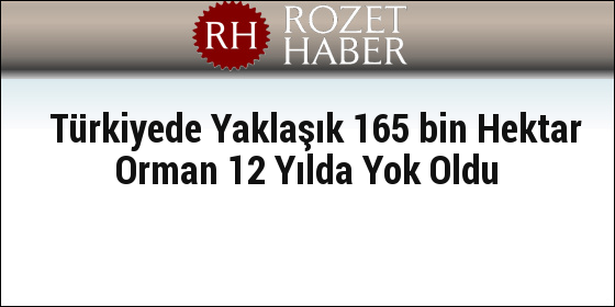 Türkiyede Yaklaşık 165 bin Hektar Orman 12 Yılda Yok Oldu Türkiyede Yaklaşık 165 bin Hektar Orman 12 Yılda Yok Oldu