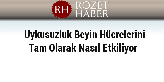 Uykusuzluk Beyin Hücrelerini Tam Olarak Nasıl Etkiliyor Uykusuzluk Beyin Hücrelerini Tam Olarak Nasıl Etkiliyor